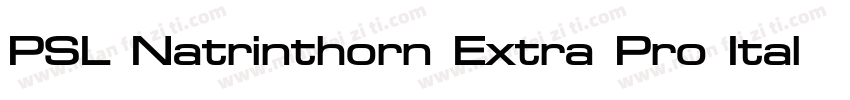 PSL Natrinthorn Extra Pro Italic字体转换